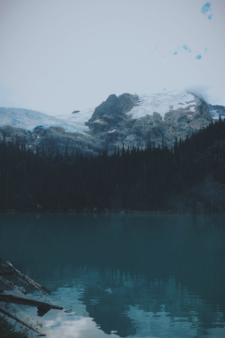 expressions-of-nature:  British Columbia by Jordan Putt