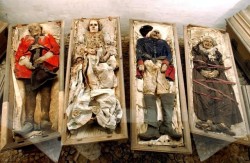 sixpenceee:  More than 1000 mummies are currently stored in German