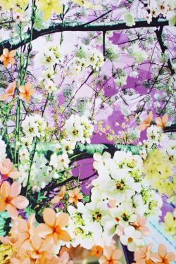 muhnbeam.tumblr.com/post/38295067240/