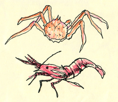 cryoflovver: some tasty bois at the aquarium