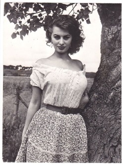 renaicroissant:  Sophia Loren