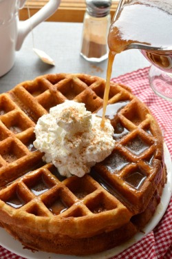 ransnacked:apple butter waffles with cinnamon maple syrup | sugar
