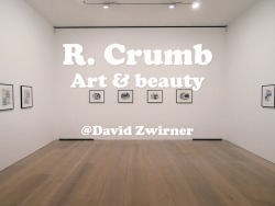 reegblog:  R. Crumb: Art & Beauty @David Zwirner  R. Crumb