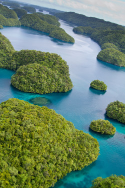 libutron:  Palau aerial | ©Patrick Hess  (Micronesia)