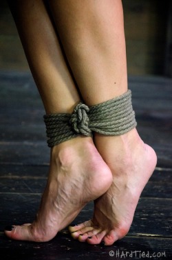 no-right-to-shoes:  Our ankles were made to be kissed by ropes.