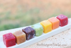beautifulpicturesofhealthyfood:  Fruit Smoothie Cubes (or Homemade