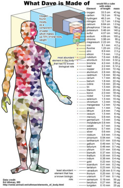 jtotheizzoe:  via scinerds:  Our bodies are comprised of a vast