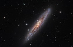 just–space:  NGC 253: Dusty Island Universe  js