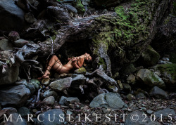 marcuslikesit:  Bound in a Redwood Forest in California Potography