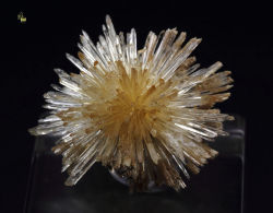 bijoux-et-mineraux:  Aragonite -  Pantoja, Toledo, Castile-La