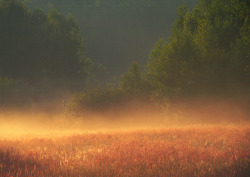 wnderlst:  Kurtuvenai Regional Park, Lithuania 