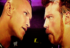 randy-theviper-orton:  Randy Orton vs. Sheamus; Part 2  Was really hoping for him to say something else ;)