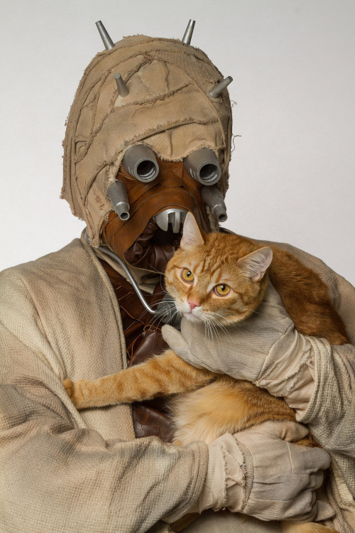 oldschoolsciencefiction:These Tusken Raiders have cats. That