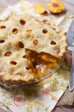 gastrogirl:  polka dot peach pie. 