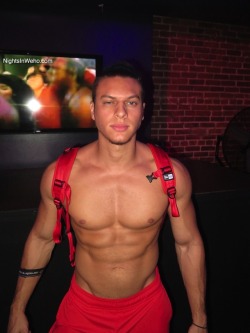 WEST HOLLYWOOD NIGHTS