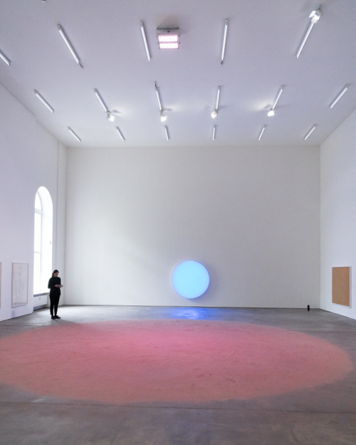 mentaltimetraveller:  Installation view, Pamela Rosenkranz, ‘She