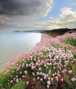 Dawlish, Devon, England en We Heart It. http://weheartit.com/entry/69155047/via/TraSomani878