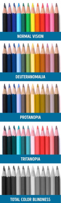 sixpenceee:  Different types of color blindness demonstrated