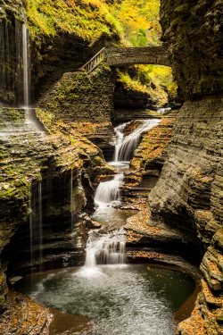 expressions-of-nature:  Watkins Glen Waterfalls / New York, US