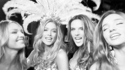 chanelegancy:  Victoria Secret Angels, my edit