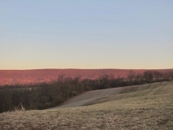 geopsych: When the sun rises, the ridge turns red first.