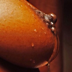 eroticnoire:  Honey coated chocolate . 