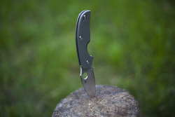 livingsurvival:  (via Spyderco Sage 2 Titanium Plain Edge Knife