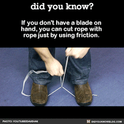 did-you-kno:  If you don’t have a blade on hand, you can cut