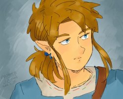 yasmeensh:Breath of the wild Link!