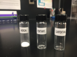 mishkablackpaw:  sixpenceee:  Lethal doses for each of these