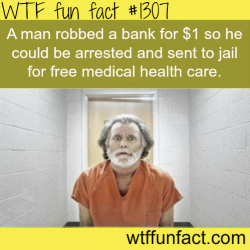 wtf-fun-factss:  А man robbed a bank for ũ so he could be arrested