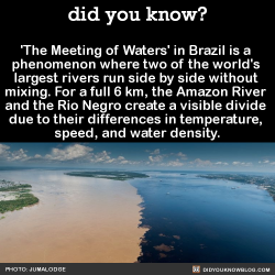 did-you-kno:  ‘The Meeting of Waters’ in Brazil is a  phenomenon