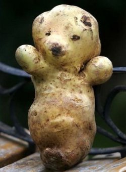 Teddy taters, my favourite!