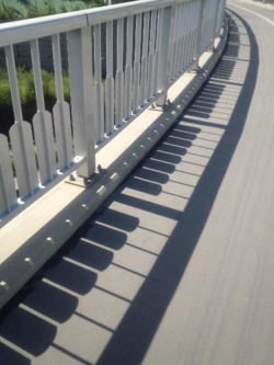 pr1nceshawn:  Shadows That Will Make You Look Twice  