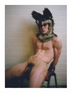 mrinstantphotography:  the beautiful mr Fox  