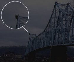 unexplained-events:  The Legend of the Mothman” explores the