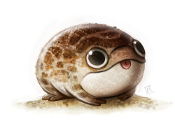 cryptid-creations:  Daily Paint #670 - Desert Frog Quickie by