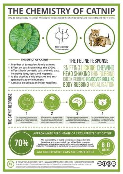 compoundchem:  ‪Here’s a purrfect graphic for #InternationalCatDay