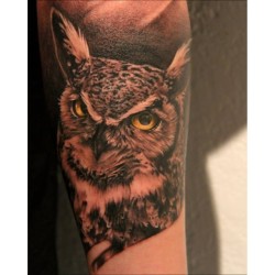 tatubaby:  Owl #tattoo #repost one of my favorites. I love tattooing