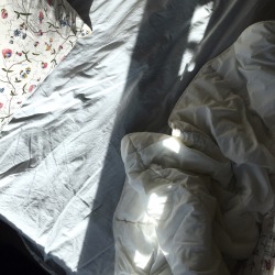 nutmegbabe:  8:31am