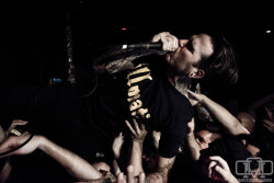 danceondeadmen: The Amity Affliction (October 12, 2014, The Barbary,