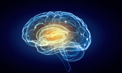 neurosciencestuff:  Erasing unpleasant memories with a genetic