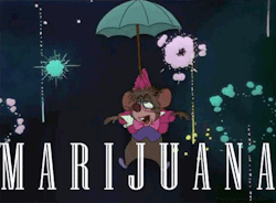 withblackhalls:  Now i know why it’s called “Wonderland”