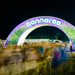 bonnaroo:  “Wise words from a man covered in glitter at Roo,