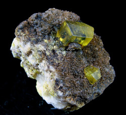 fuckyeahmineralogy:    Bituminous Sulphur on an Aragonite matrix-