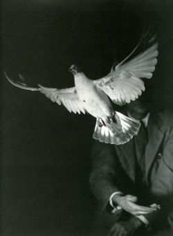 retrohaust:  by Harold Edgerton (1903-1990)  