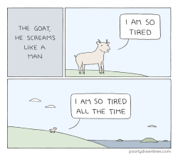 pdlcomics:  Goat 