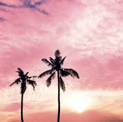 tropicalmiind:  jungle-lagoon:  enter the tropics    tropicalmiind