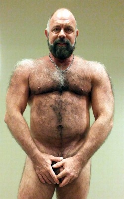 hairytreasurechests:  If you also like hairy and older men who