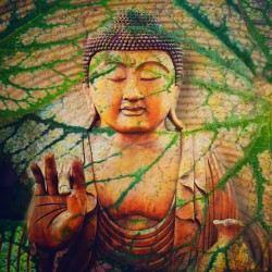 omniscientcrypticpsyche:  This is my nature, what is yours? #buddha